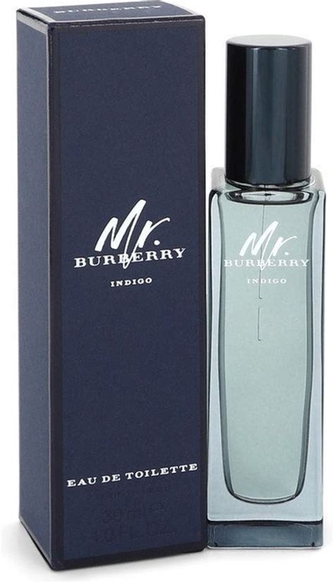 mr burberry indigo eau de toilette 30ml|mr burberry eau de toilette.